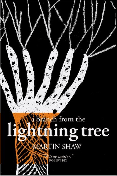 A Branch from the Lightning Tree, Second Edition, Martin Shaw